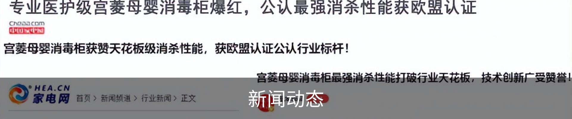 新闻动态